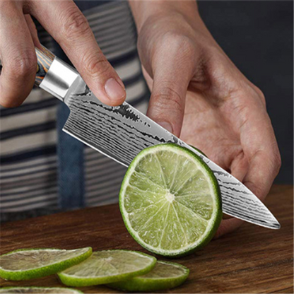 Damascus Pattern Stainless Steel Kitchen Knife Set (6 pcs)